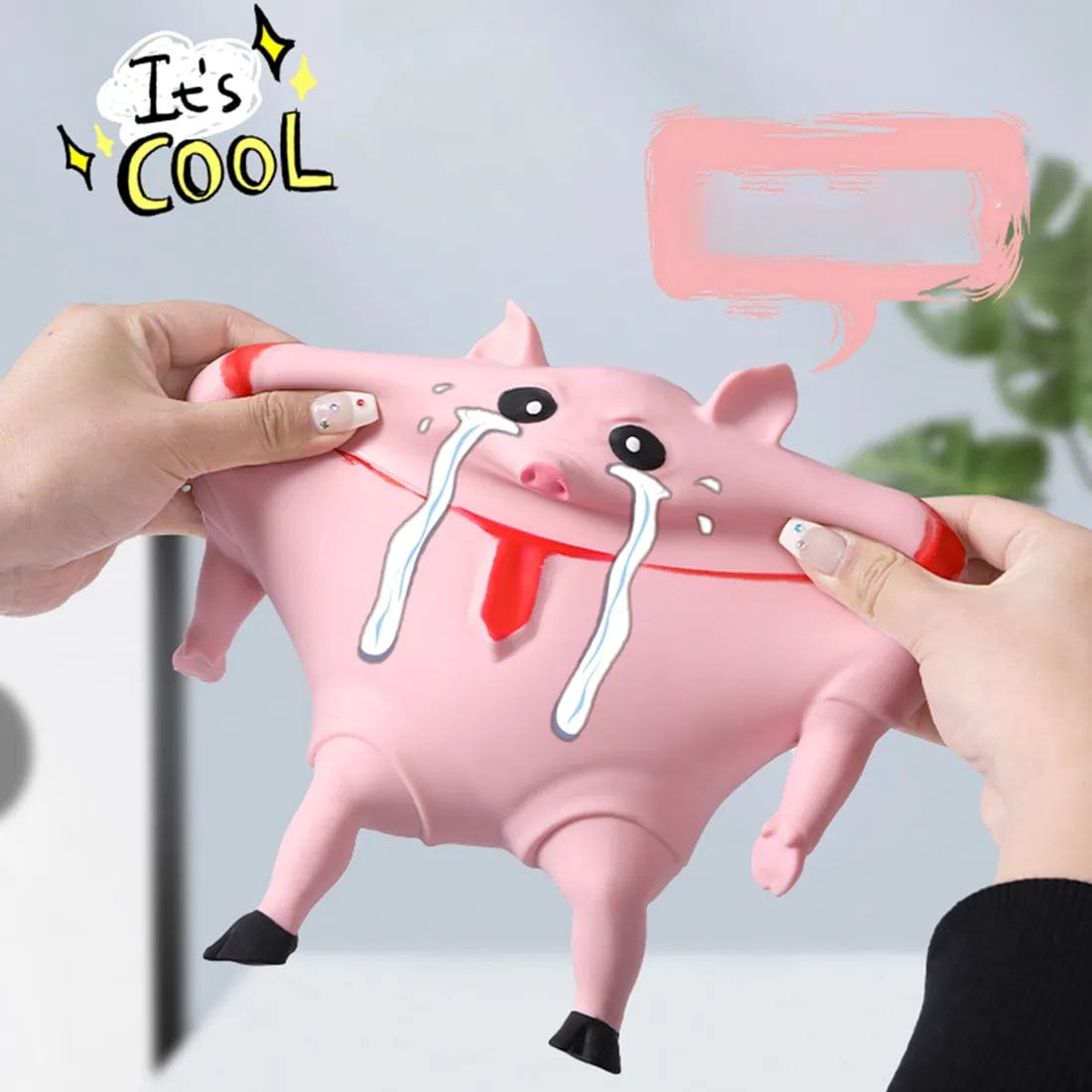 Squishy Piggy– SearchFindOrder