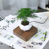 Levitating Rotation Floating Plant Flower Pot