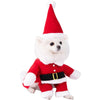 SearchFindOrder 12 / XL Halloween Pet Costumes