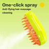 SearchFindOrder 3-in-1 Electric Spray Cat Hair Brush