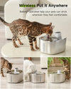 SearchFindOrder 4L Pet Water Fountain