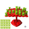 SearchFindOrder as picture show Balancing Frog Toys