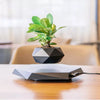 SearchFindOrder Black / AU Levitating Rotation Floating Plant Flower Pot