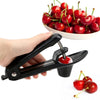 SearchFindOrder Cherry Core Seed Remover