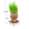 SearchFindOrder DIY Grass Head Doll Indoor Decoration