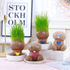 SearchFindOrder DIY Grass Head Doll Indoor Decoration