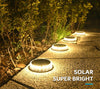 SearchFindOrder LED Solar Glow Path lights (4 Pcs)