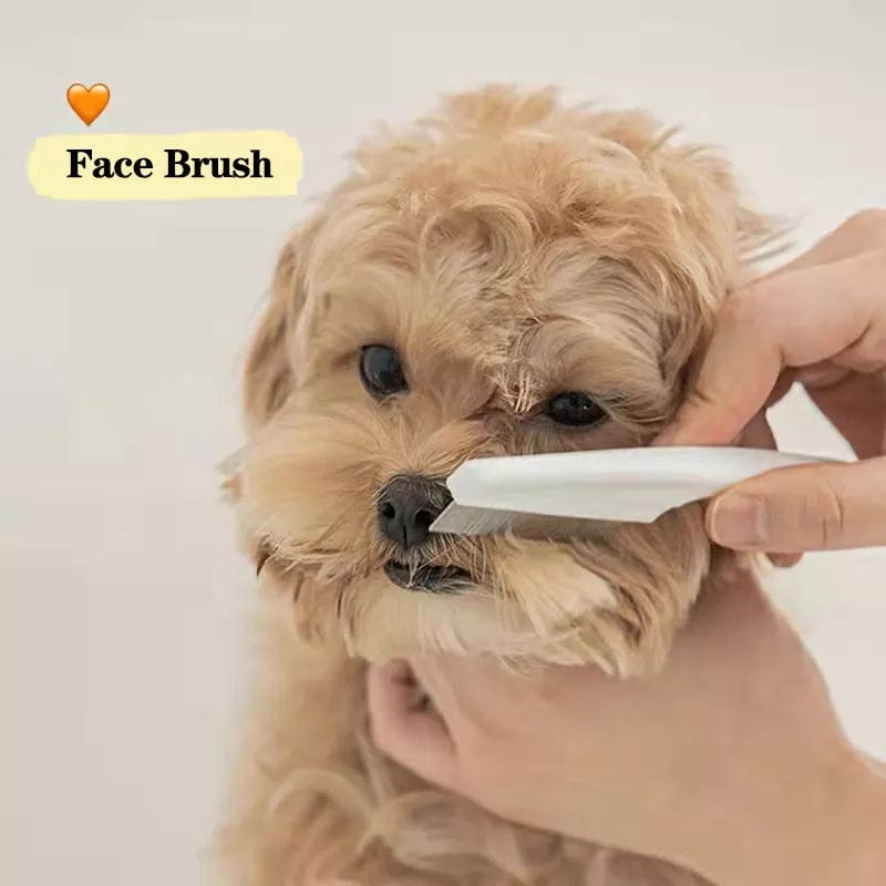 Dog shops face brush