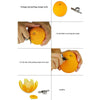 SearchFindOrder Stainless Steel Orange Peeler