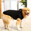 SearchFindOrder Stylish Hoodie for Small to Medium Dogs