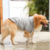 SearchFindOrder Stylish Hoodie for Small to Medium Dogs