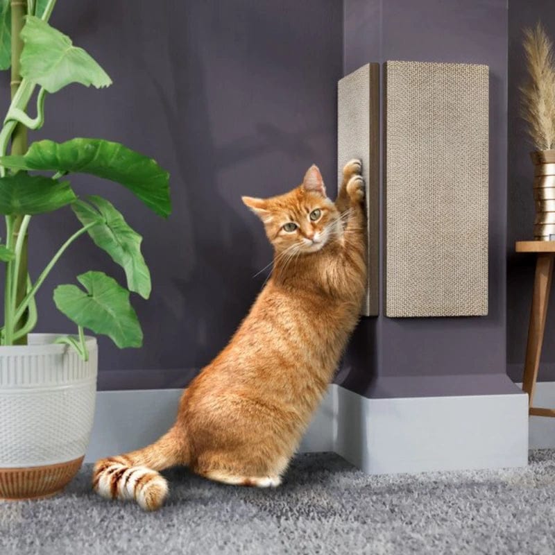 Wall and Couch Corner Cat Scratching Pad SearchFindOrder