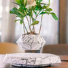 SearchFindOrder White / US Levitating Rotation Floating Plant Flower Pot