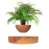 SearchFindOrder Wood Grain / US Levitating Rotation Floating Plant Flower Pot