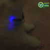 LED Dog Collar - USB Rechargeable