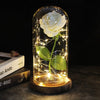 SearchFindOrder 10 Magic LED Eternal Enchanted Rose