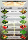 SearchFindOrder 1000W LED Full spectrum Light For Hydroponics