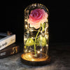 SearchFindOrder 14 Magic LED Eternal Enchanted Rose