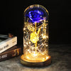 SearchFindOrder 16 Magic LED Eternal Enchanted Rose