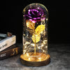 SearchFindOrder 17 Magic LED Eternal Enchanted Rose