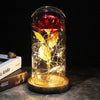 SearchFindOrder 18 Magic LED Eternal Enchanted Rose