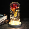 SearchFindOrder 2 Magic LED Eternal Enchanted Rose