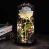 SearchFindOrder 21 Magic LED Eternal Enchanted Rose