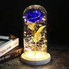 SearchFindOrder 3 Magic LED Eternal Enchanted Rose