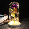 SearchFindOrder 5 Magic LED Eternal Enchanted Rose