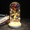 SearchFindOrder 7 Magic LED Eternal Enchanted Rose