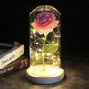 SearchFindOrder 8 Magic LED Eternal Enchanted Rose