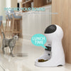 SearchFindOrder Automatic Smart Pet Feeder