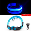 SearchFindOrder Blue USB Charging / XSNECK 28-40 CM LED Dog Collar - USB Rechargeable