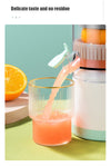 SearchFindOrder Creative Electric Portable Juice Maker