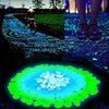 SearchFindOrder Glow in the Dark Garden Pebbles