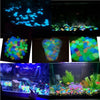 SearchFindOrder Glow in the Dark Garden Pebbles