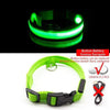 SearchFindOrder Green Button Battery / XL NECK 52-60 CM LED Dog Collar - USB Rechargeable