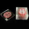 SearchFindOrder halloween Acrylic Non-Slip Brain Coasters (10pcs)