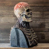 SearchFindOrder halloween Realistic Skull Zombie Mask