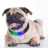 SearchFindOrder LED Display Dog Collar