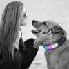 SearchFindOrder LED Display Dog Collar