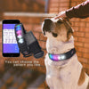 SearchFindOrder LED Display Dog Collar