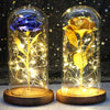 SearchFindOrder Magic LED Eternal Enchanted Rose