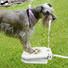 SearchFindOrder Outdoor Dog Water Paw Activated Step Fountain