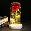 SearchFindOrder Red A Magic LED Eternal Enchanted Rose