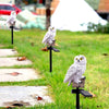 SearchFindOrder Solar Powered Outdoor Owl Lamp