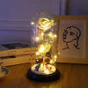 SearchFindOrder specialSFO 30 Magic LED Eternal Enchanted Rose