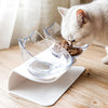 SearchFindOrder The AmazingOrthopedic Cat Bowl