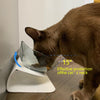 SearchFindOrder The AmazingOrthopedic Cat Bowl