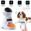 SearchFindOrder WIFI food feeder Automatic Smart Pet Feeder